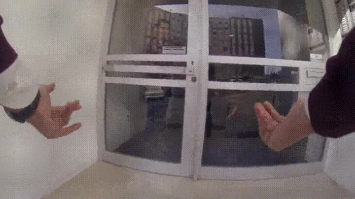 perro,encuentro,due&ntilde;o,perdido,no lo esperas