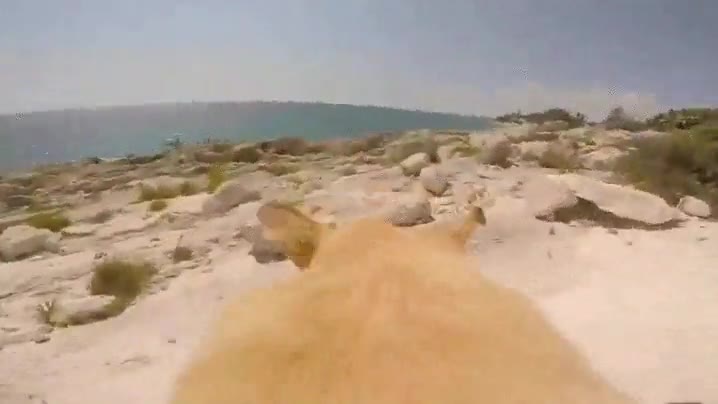 reacci&oacute;n,l&oacute;gica,d&iacute;a,caluroso,verano