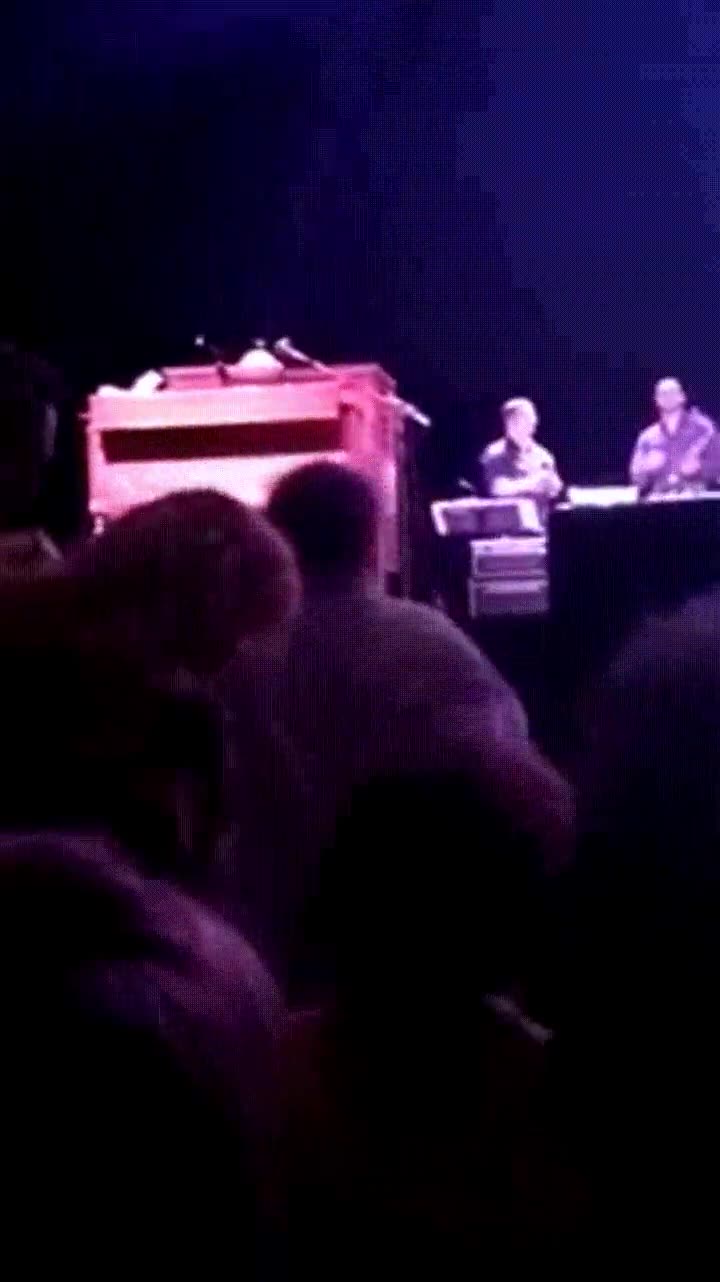 concierto,musica,dar todo,fan