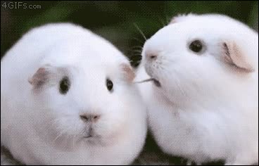 poder,ver,mirada,desesperación,ojos