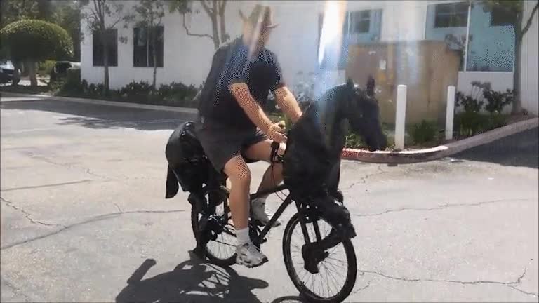 bicicleta,rara,caballo,ver
