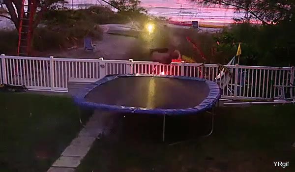 juntar,fuegos artificiales,trampolín,buena idea