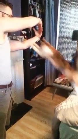 decir,truco,aprender,gato,saltar