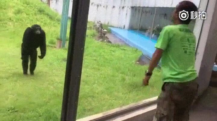 encontrar,alma,gemela,saltos,lugar,inesperado