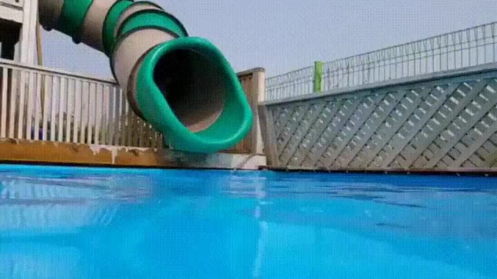 Enlace a Perro disfrutando al máximo de la piscina
