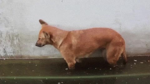 dormir,peor,momento,posible