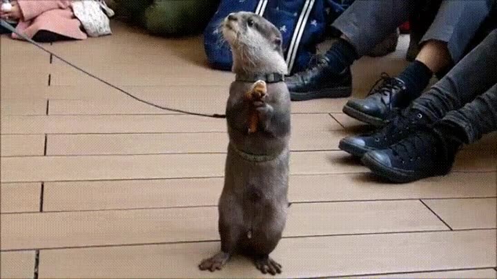 alguien,regalo,inesperado,para mi?