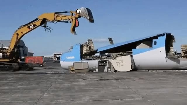 cara,grua,hambrienta,comer,avi&oacute;n