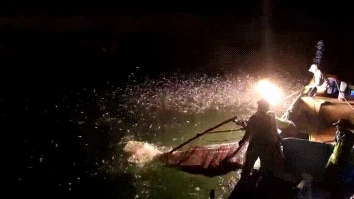 pescar,lanzallamas,bote,red