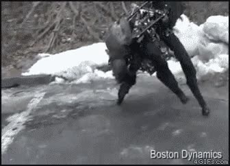 tipo,robots,crear,raros