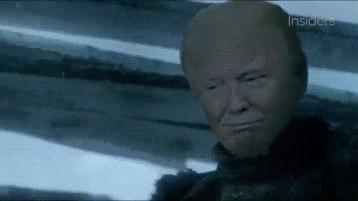 donald trump,lord comandante,muro,juego de tronos