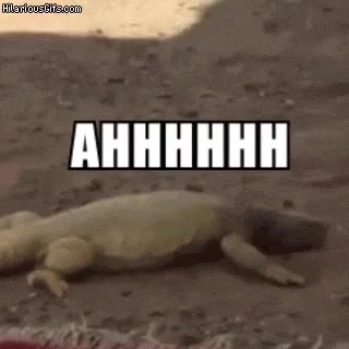 arena,caliente,quemar,pies