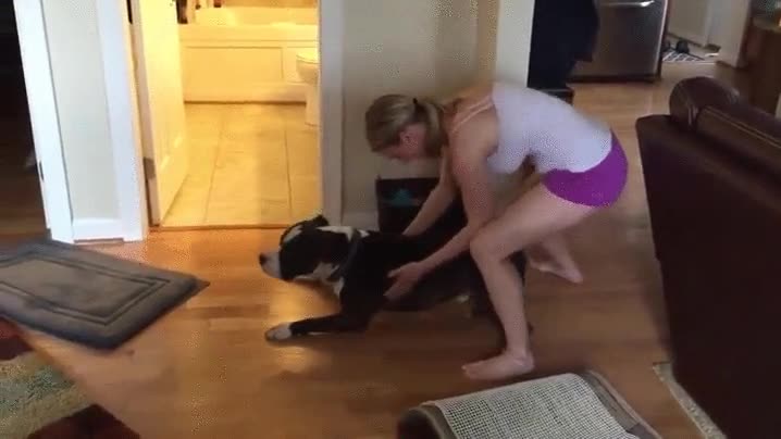 ligera,sospecha,perro,hora del baño