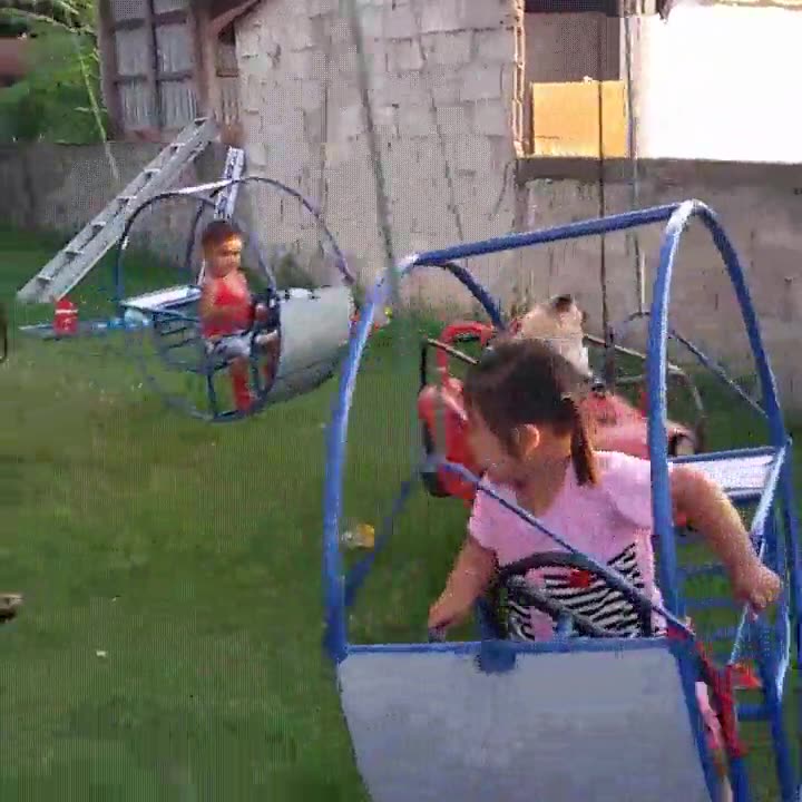 perro,espiritu,actitud,ni&ntilde;o peque&ntilde;o