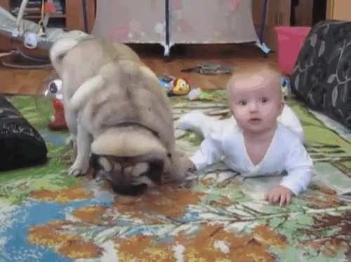 apartar,sucias,manos,galleta,humano