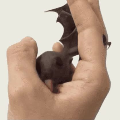 batman,tiempo libre,saberlo