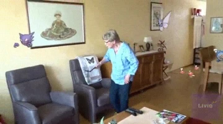 abuela,harta,golpear,pok&eacute;mon