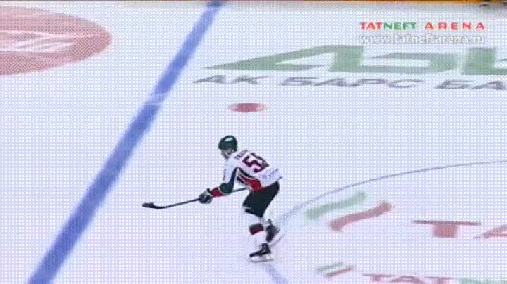forma,bestia,meter,gol,hockey,sobre hielo
