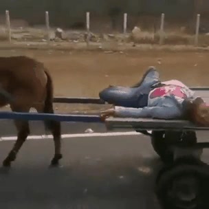 activar,piloto,automatico,olvidar,todo