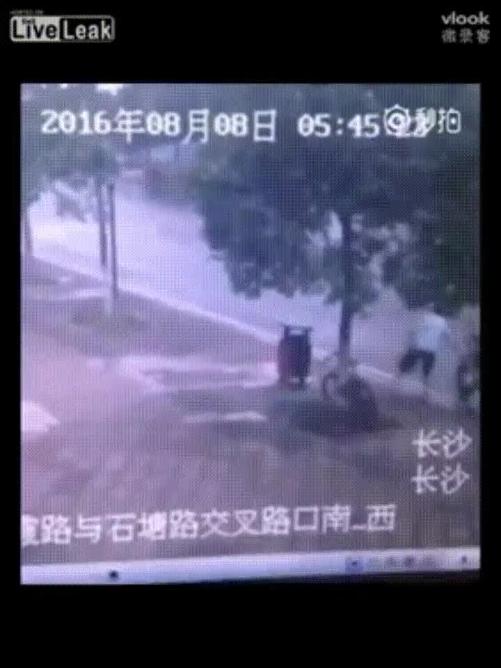 Enlace a Ladrones capaces de talar un árbol con tal de llevarse la bici