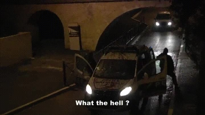 buho,gigante,tirar,arena,coche