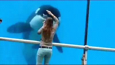 carisma,evitat,hacer amigos,acuario