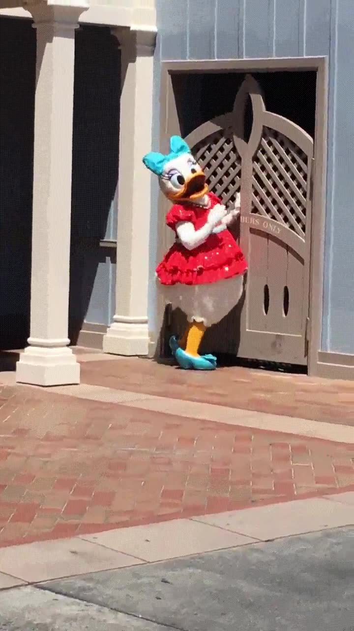 notar,ultimo,d&iacute;a,daisy,vacaciones