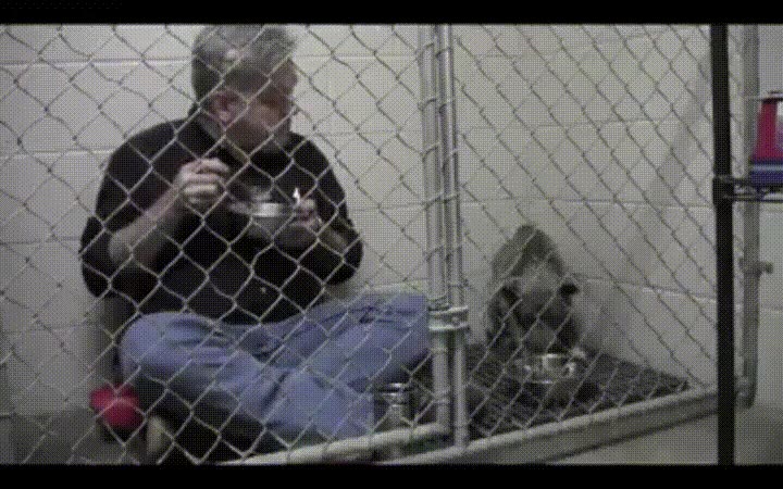 veterinario,comer,jaula,perro,perder,miedo