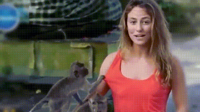 monos,curiosidad,chica,debajo,camiseta