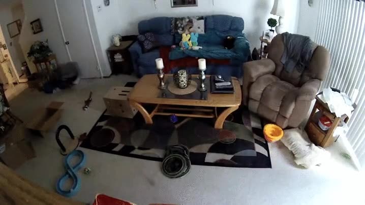 Enlace a Paranormal Activity 7