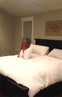 antes,entrar,habitación,oscuras,llamar,puerta