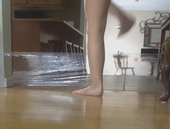 karma,actuar,papel,gato,caída