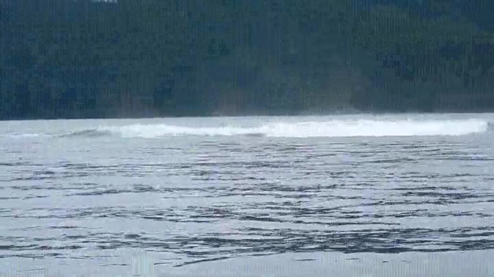 repetir,un poco,m&aacute;s,cerca