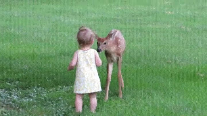 inocente,ni&ntilde;a,cr&iacute;a,ciervo