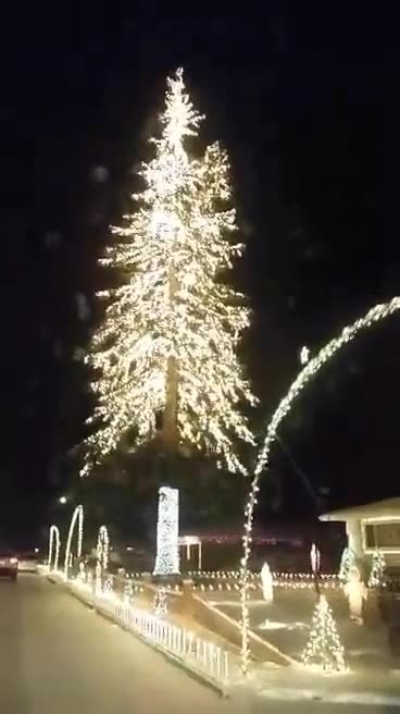 arbol,navidad,luces,bonito,ganas
