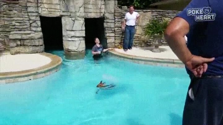 reacci&oacute;n,cervatillo,rescate,piscina,agua,nadar
