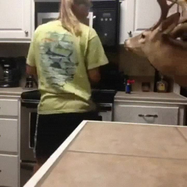 t&iacute;pico,pasar,cocina,5am,susto,cabeza