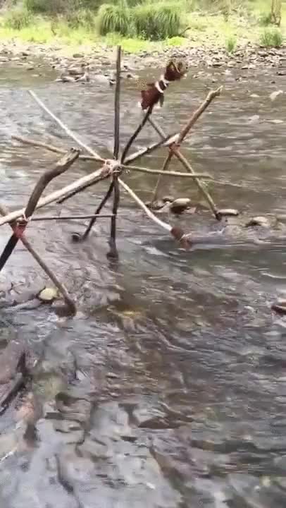 Enlace a La pereza es la chispa del ingenio