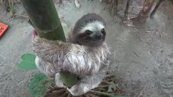 normalmente,detestar,chicas,u&ntilde;as,largas,pintadas,adorable