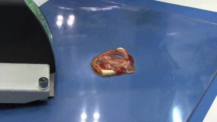 m&aacute;quina,capaz,transportar,materiales,gelatinosos,transportarlos