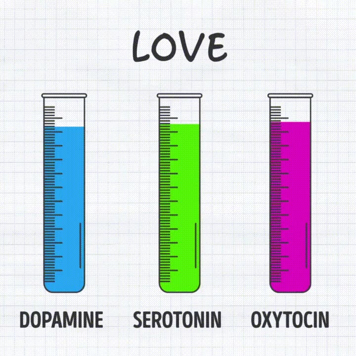 reduce,mezcla,hormonas,sentimientos