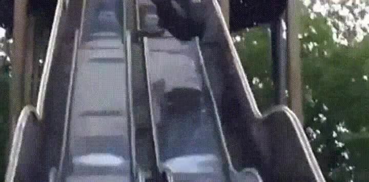 toboga,hostias,dolor,objetivos,vida