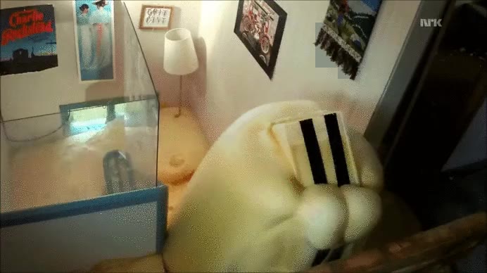 amor,ciencia,experimento,explotar