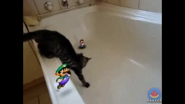 juegos,mario,bañera,gato,realista
