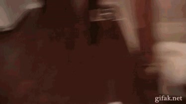 perro,ni&ntilde;a,diente,jugar