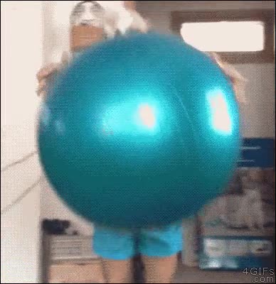 hamster,dolor,salto,bola,fail