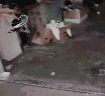 gato,bailón,pase de sombrero,bailar