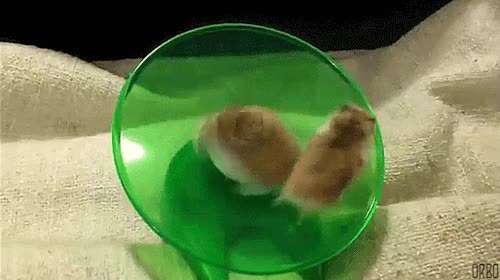 dos tipos,persona,trabajo,currar