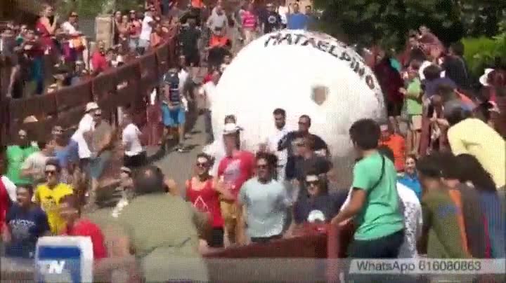 mezclar,indiana jones,rodar,roca,grand prix,humor amarillo