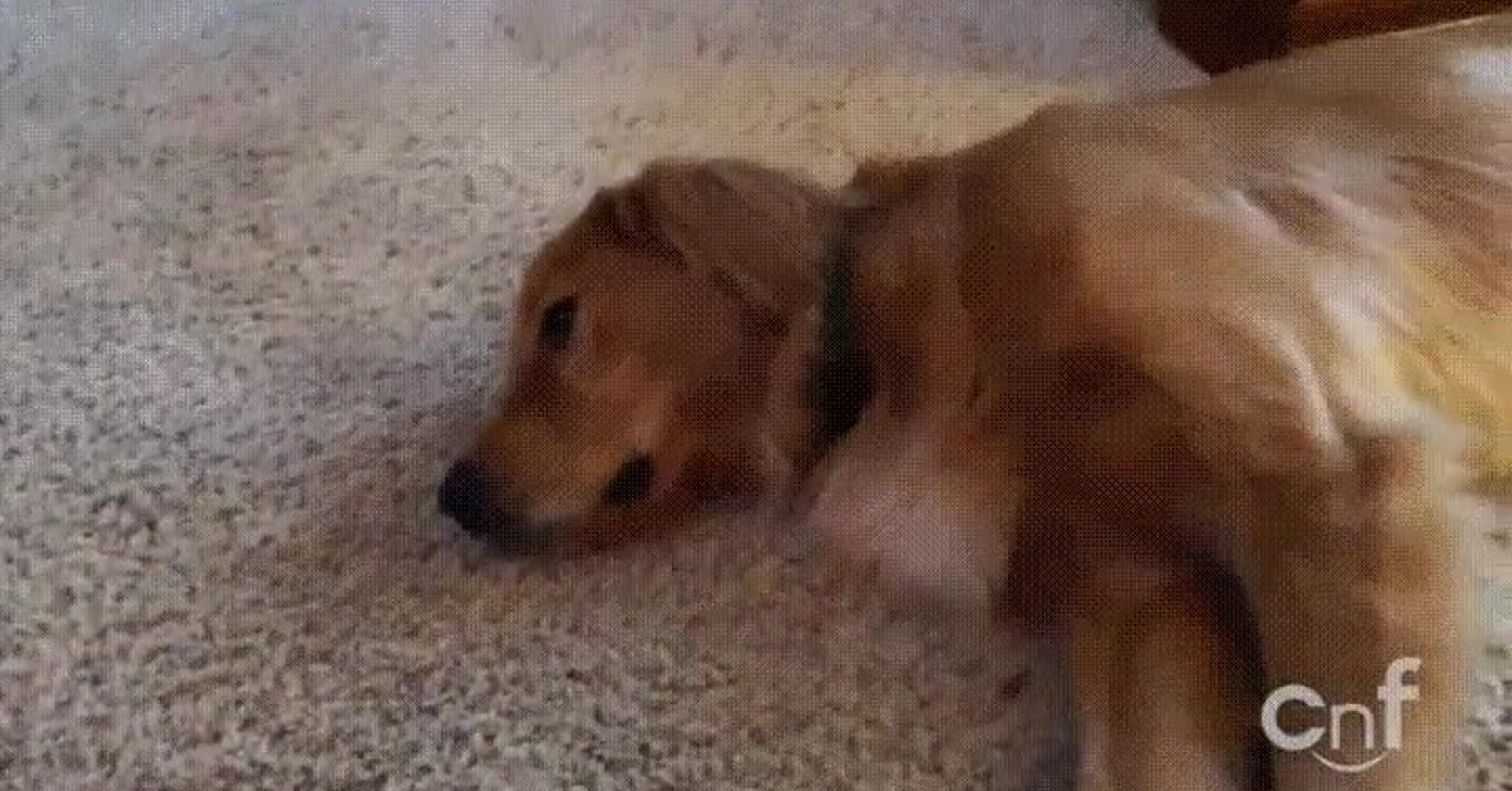 ¡Vaya GIF! / Cuando te levantas de resaca y no puedes ni moverte